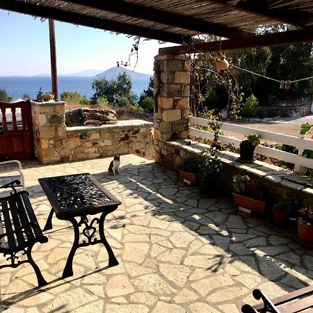 Villa Chris House Sapsila Esterno foto